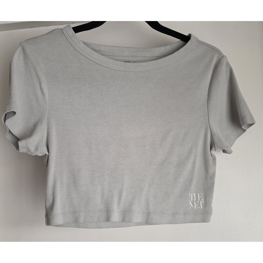 Pacsun x The Met Museum T-Shirt Women's M Gray Short Sleeve TeeCrop Top Shirt